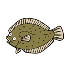 Flounder Flaesk