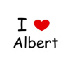 teamALBERT