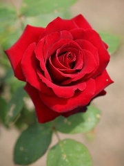 andrewjack's profile picture