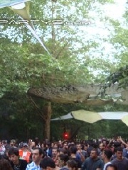 tFt's profile picture