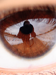 HellKn1ght's profile picture