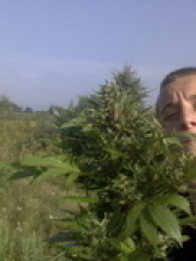 Spitfire17's profile picture