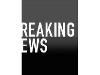 TheDuck's profile picture