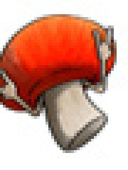 phaloid's profile picture