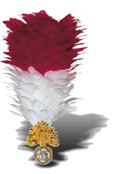 rNUK's profile picture