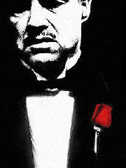 convct's profile picture