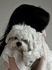 ToxicGirl's profile picture