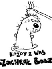 RoZpr0's profile picture