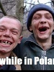 Sylv's profile picture