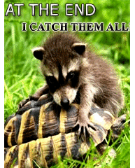 metatr0n's profile picture