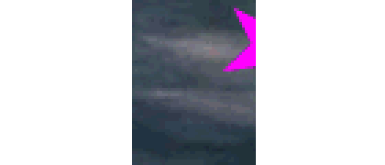 FORWARDUA's profile picture