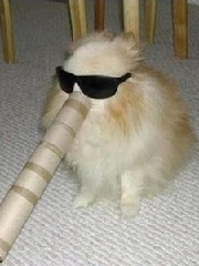 Zw3i's profile picture