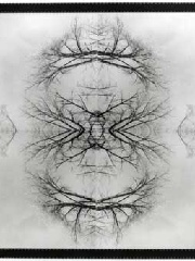 Deactivated6179's profile picture