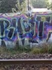 rABitkrk's profile picture