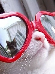 cocaineboy's profile picture