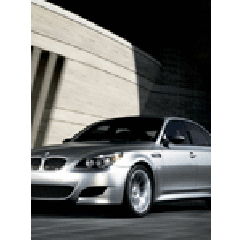 Martin's profile picture