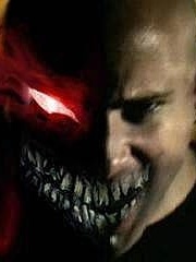 torM's profile picture