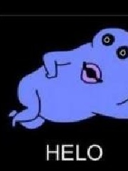 Velmu's profile picture