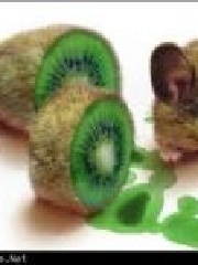 mAxy's profile picture