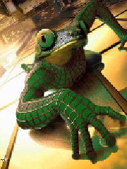 wArdi's profile picture