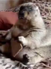 bAxx's profile picture