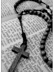 Bao's profile picture