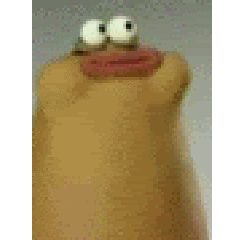 cisek's profile picture