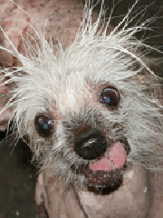 xillusioN's profile picture