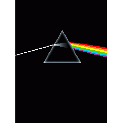 Kimi's profile picture