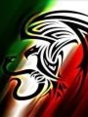 yash's profile picture