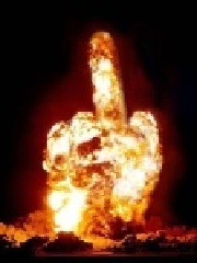 Amicorum's profile picture