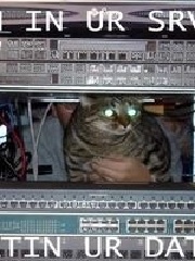 fArge's profile picture