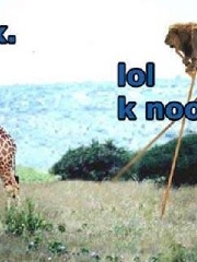 inferno147's profile picture