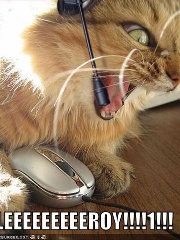 WRDi's profile picture