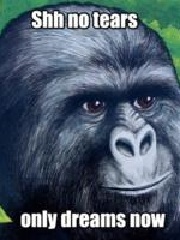 Elly's profile picture