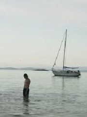 grnn's profile picture