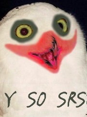 Deactivated5156's profile picture