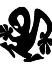 sYNeRR's profile picture