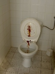 atom's profile picture