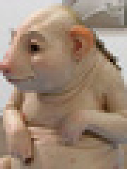 dongo's profile picture