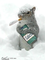 Deactivated5803's profile picture