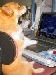 Cancel's profile picture