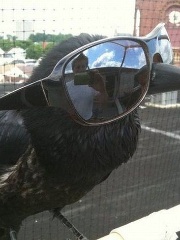 Krii's profile picture