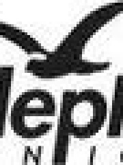 t0BYi's profile picture