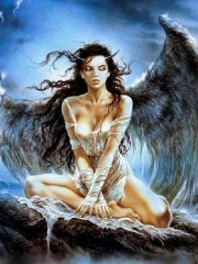 ANG3LLL's profile picture