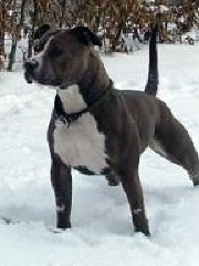 ceZik's profile picture