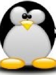 kiegowhoya's profile picture