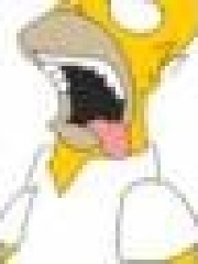 Homertje's profile picture