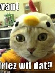 sNipt3r's profile picture