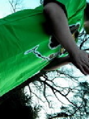 sNi's profile picture